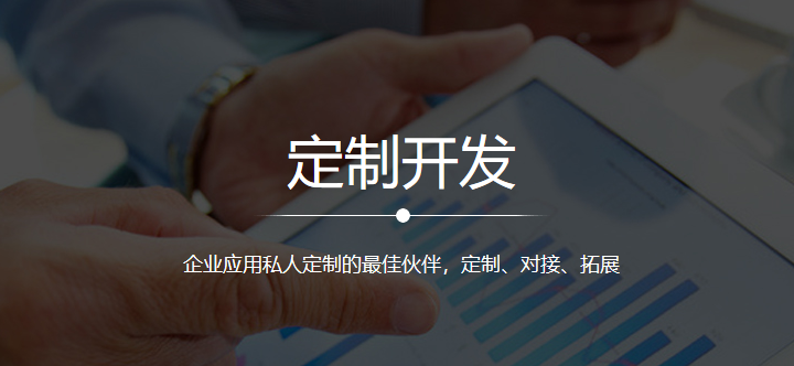 定制開發(fā),crm表單定制,crm定制,crm開發(fā)